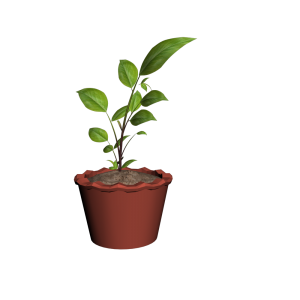 tree_plant