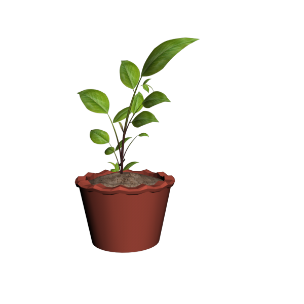 tree_plant